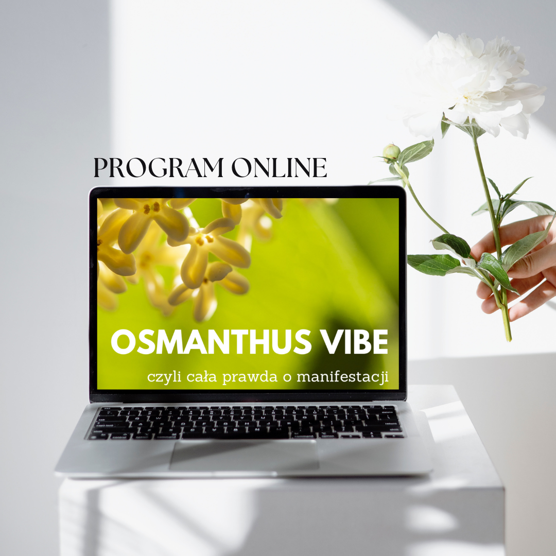 „OSMANTHUS VIBE” czyli cała prawda o manifestacji