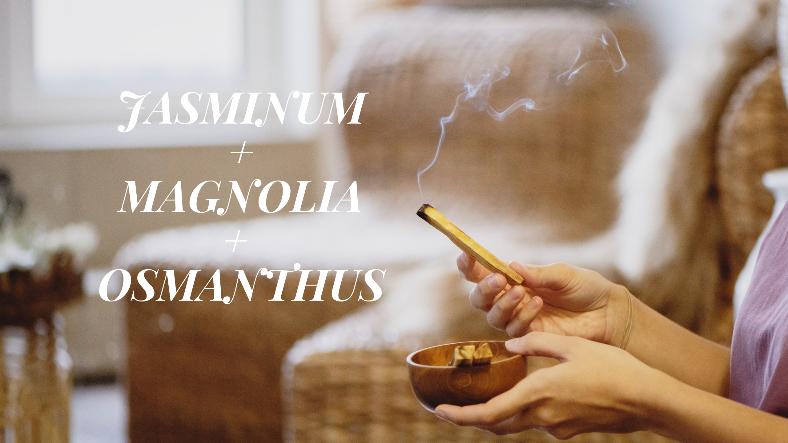 JASMINUM + MAGNOLIA + OSMANTHUS